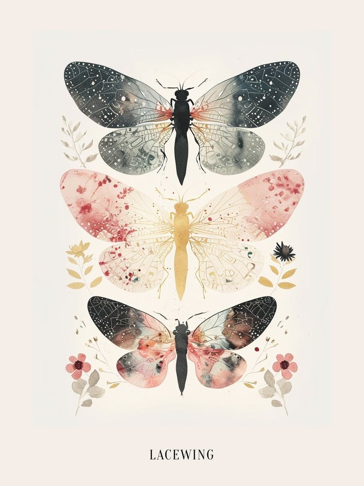Colourful Insect Illustration Lacewing 8 Poster