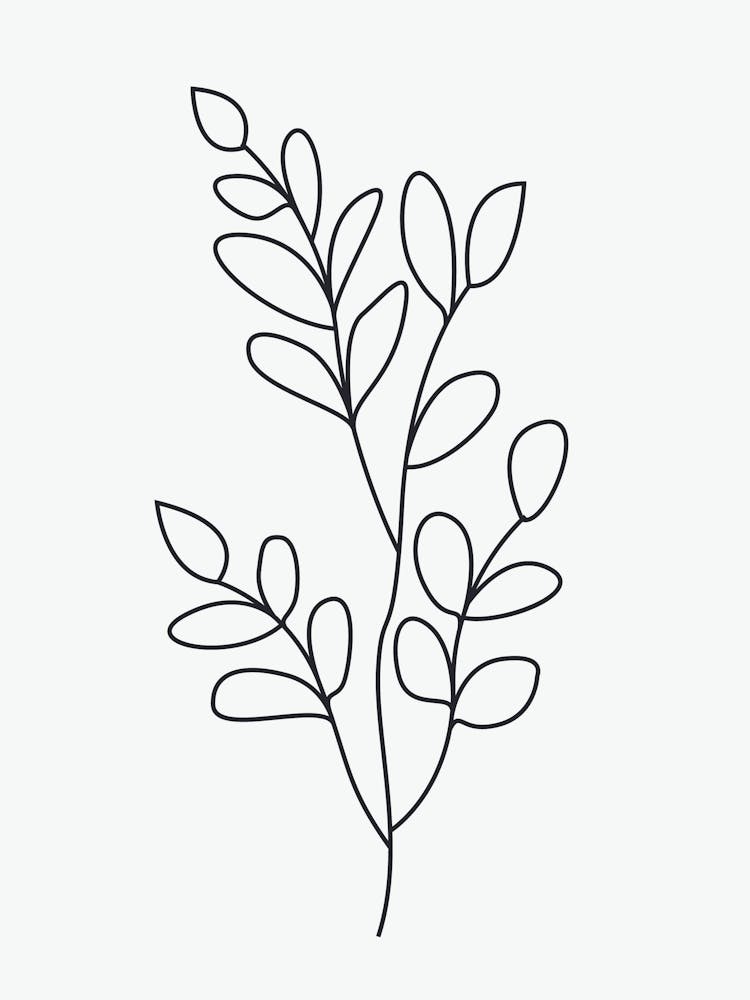Line Drawing Of A Leaf