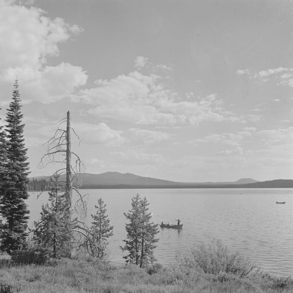 Douglas County, Oregon, Diamond Lake Resort Area By Russell Lee 2