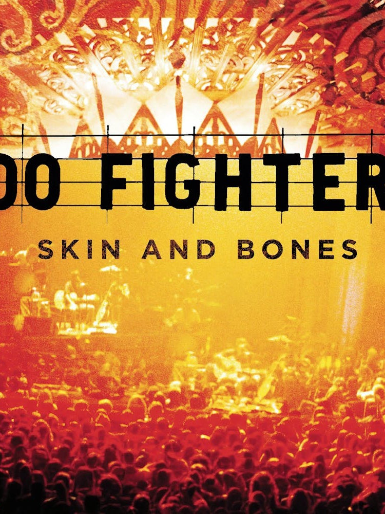 Foo Fighter Album (8)