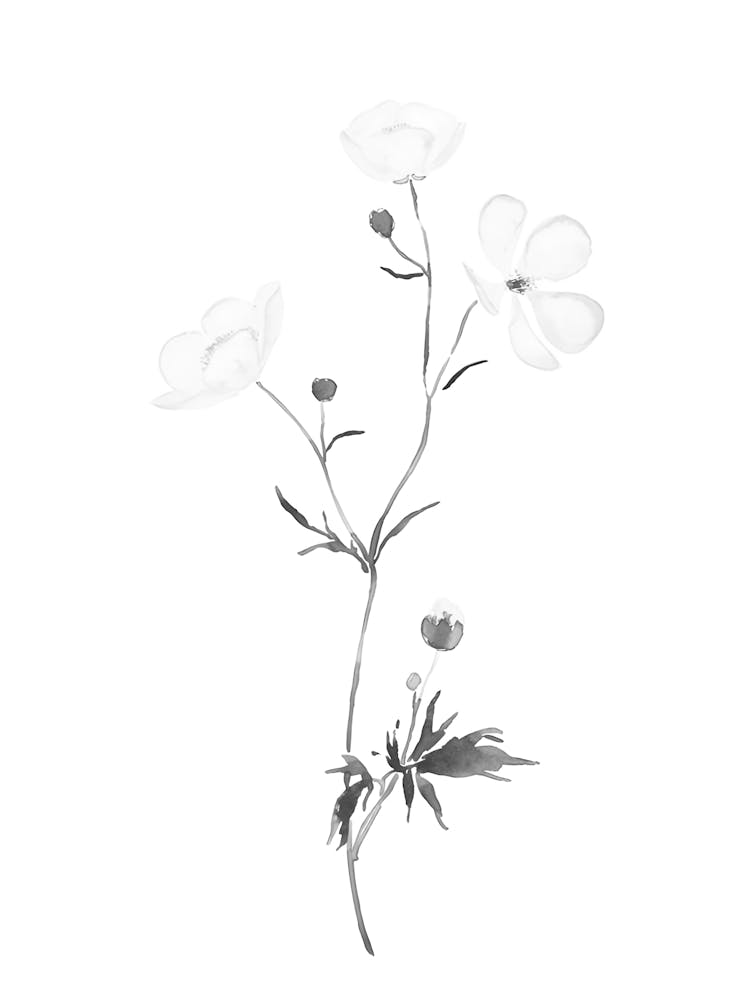 Asian Flowers