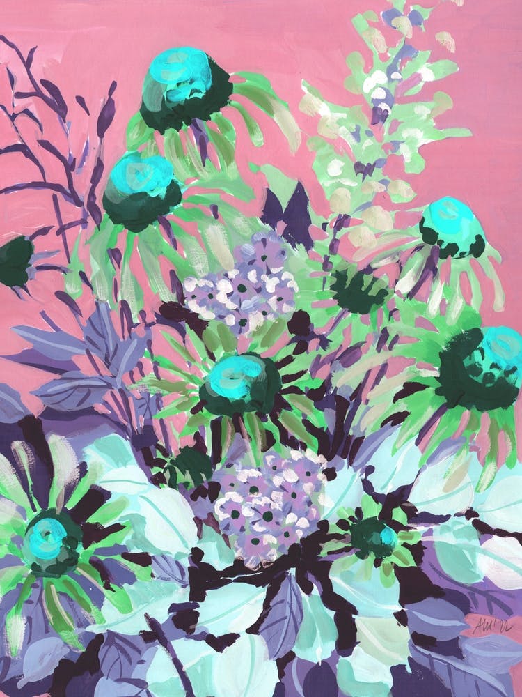 Echinacea Pink Kopia