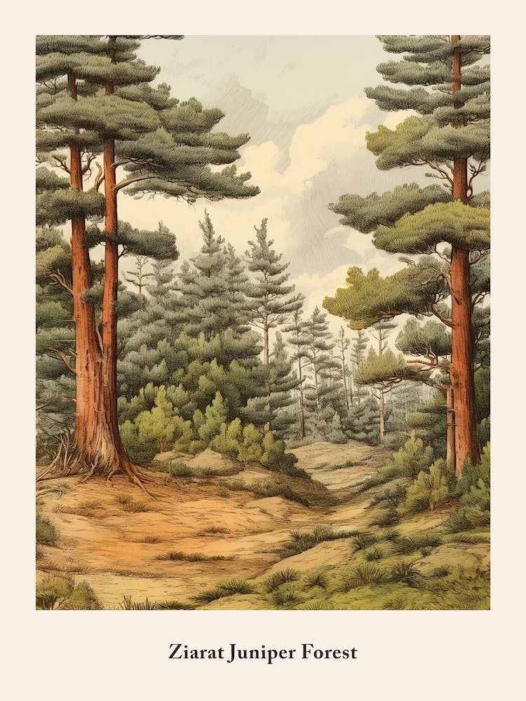 Ziarat Juniper Forest