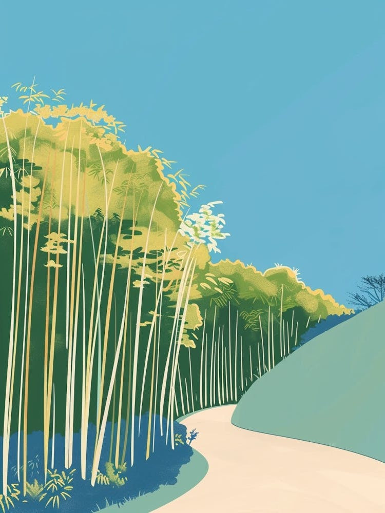 Arashiyama Bamboo Grove Kyoto 1 Colourful Illustration