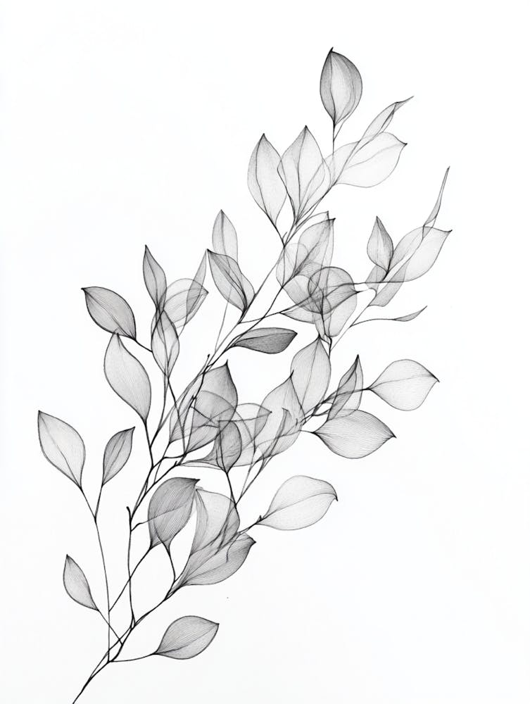 Leaves In Black And White 1