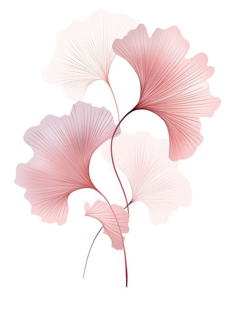 Pink Ginkgo Leaves 3