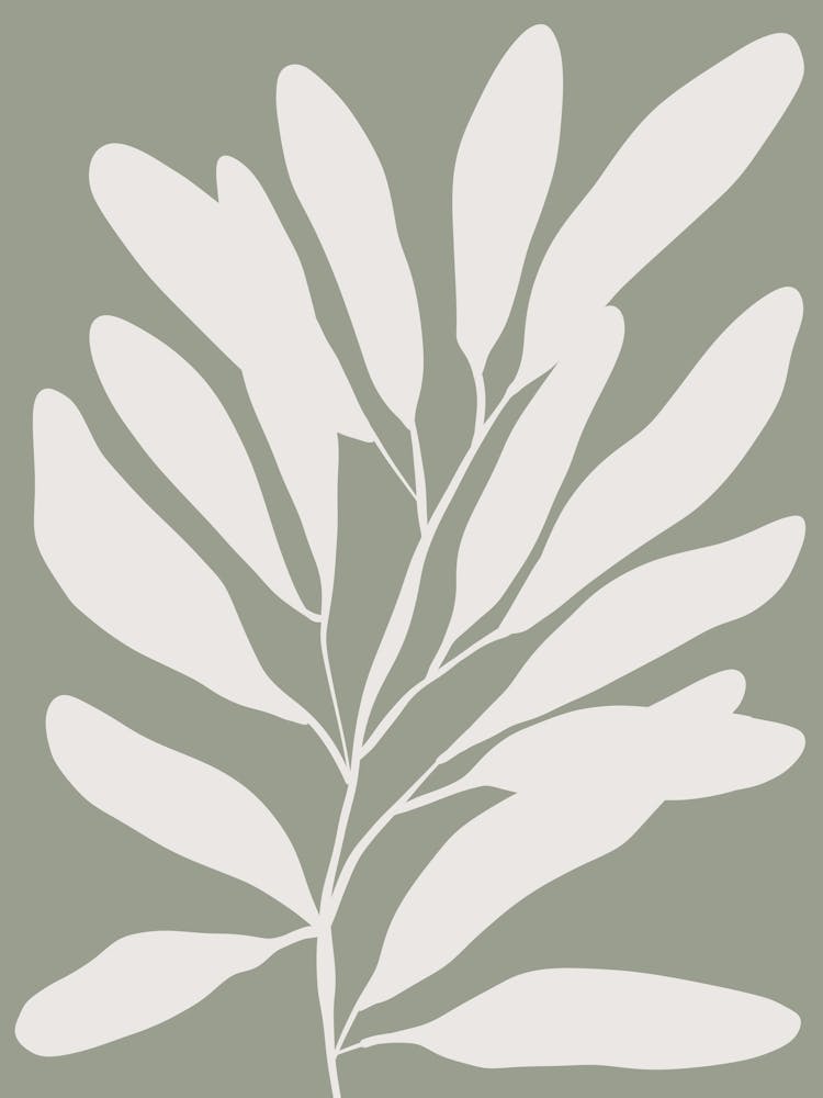 Eucalyptus 6