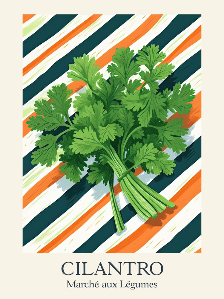 Marche Aux Legumes Cilantro Summer Illustration 3