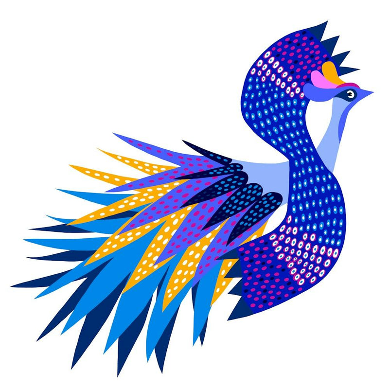 Peacock Bird of Paradise