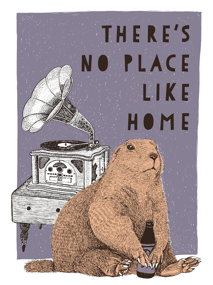 There's No Place Like Home