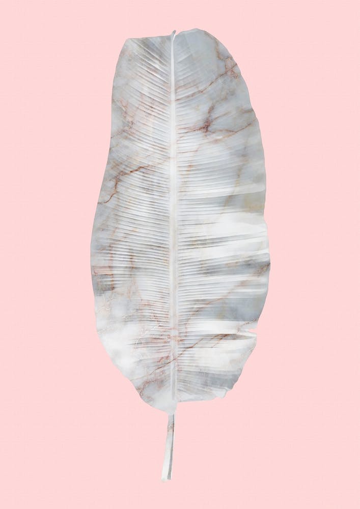 White Marble Banana Leaf on Pink Wall