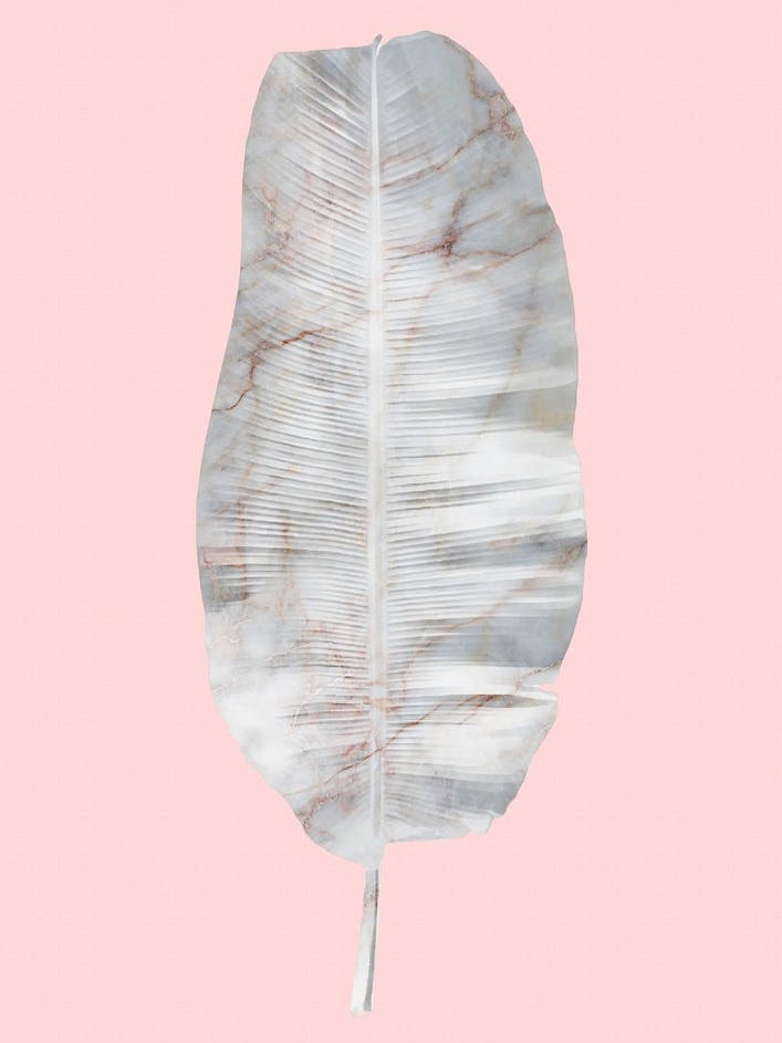 White Marble Banana Leaf on Pink Wall