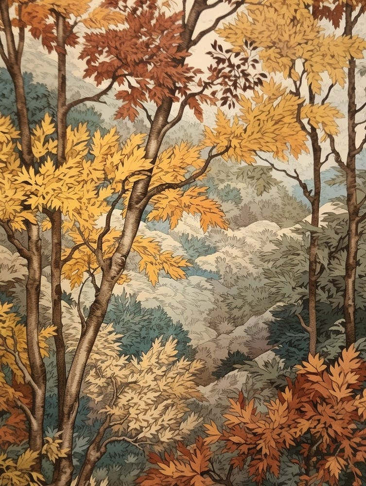 Dwarf Birch 3 Vintage Autumn Tree Print