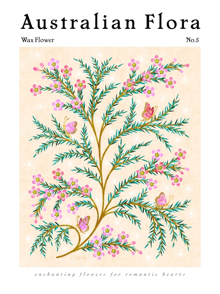 Flore Australienne Fleur de Cire