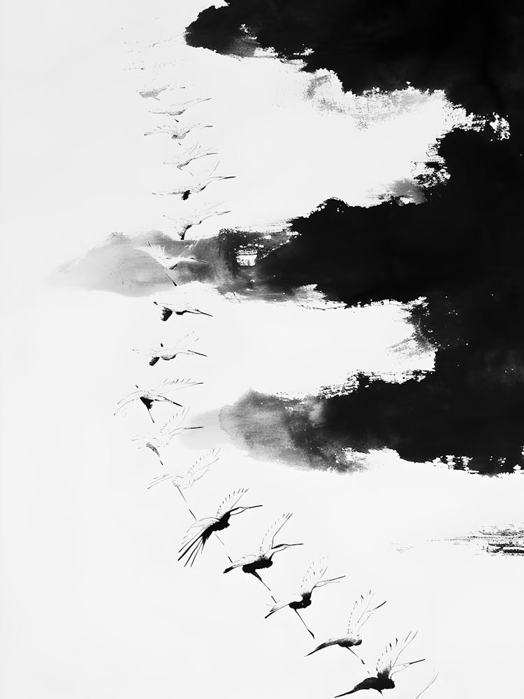 Black And White Birds 1