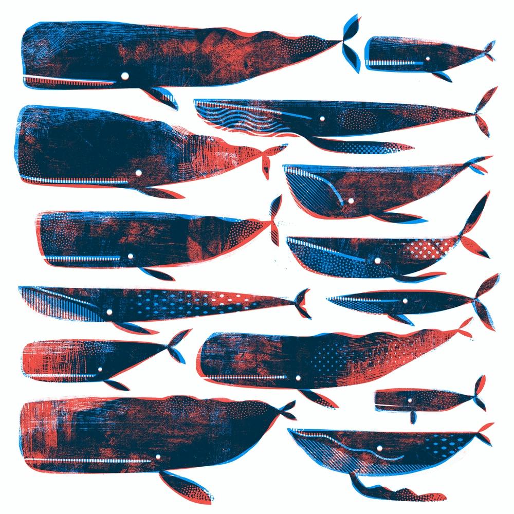 Printed Whales