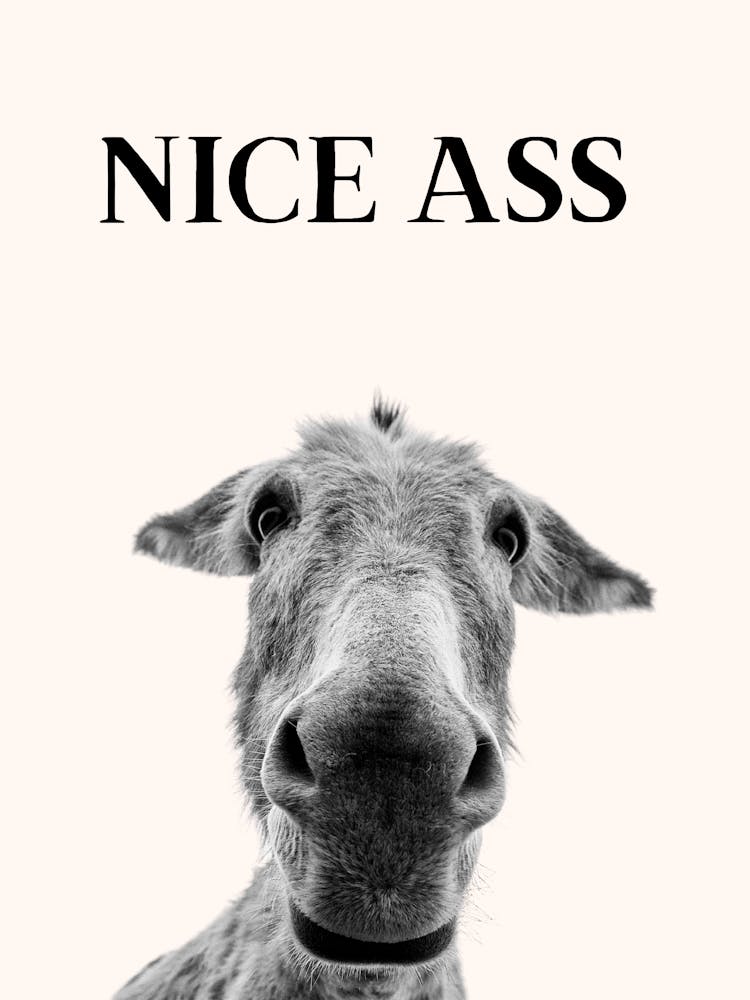 Nice Ass Funny Donkey Bathroom Print