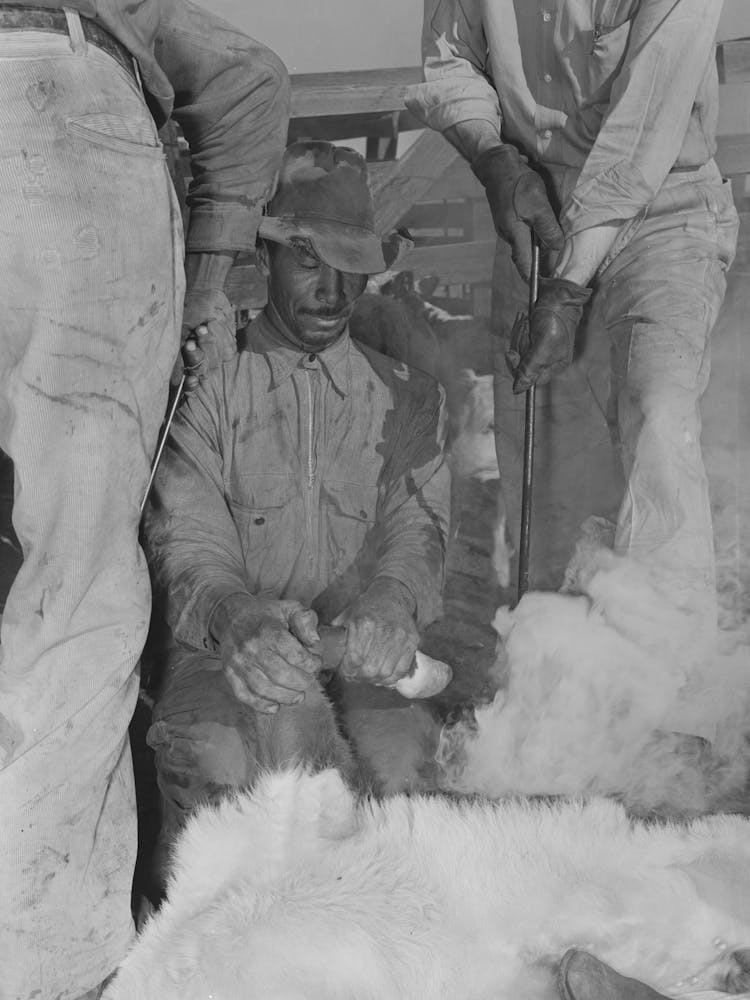 Mexican Cowboy Holding Front Leg Of Calf During Branding, Cattle Ranch Near Marfa, Texas By Russell Lee
