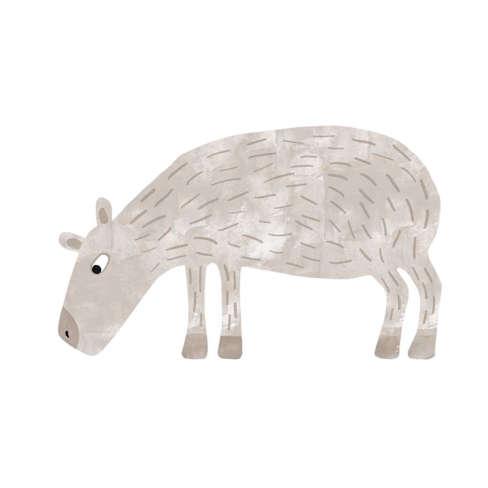 Capybara Watercolor 1