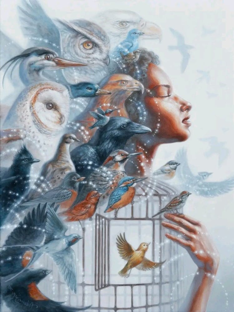 The girl and the birds
