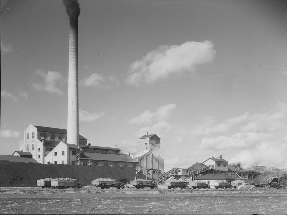Sugar Beet Factory With Trucks Lined Up Waiting To Be Unloaded,East Grand Forks, Minnesota By Russell Lee