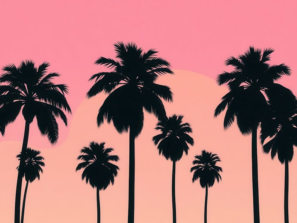 Sunset Palm Trees