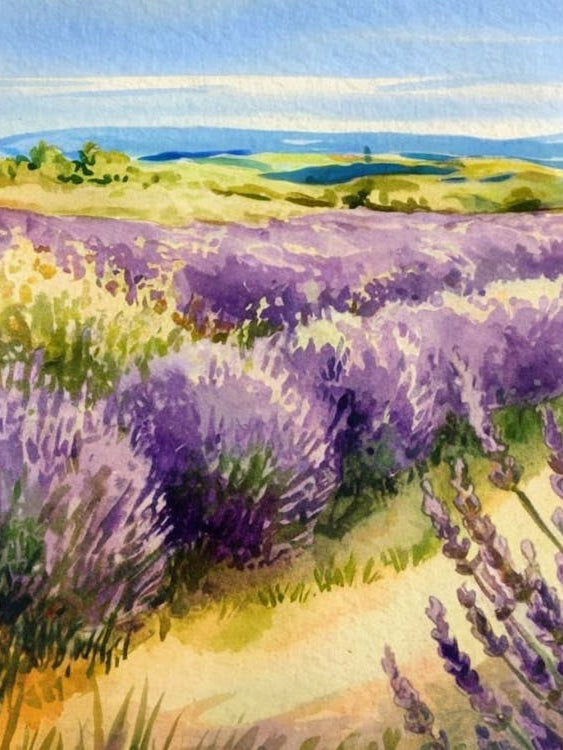 Lavender Countryside Path - Serene Watercolor Landscape