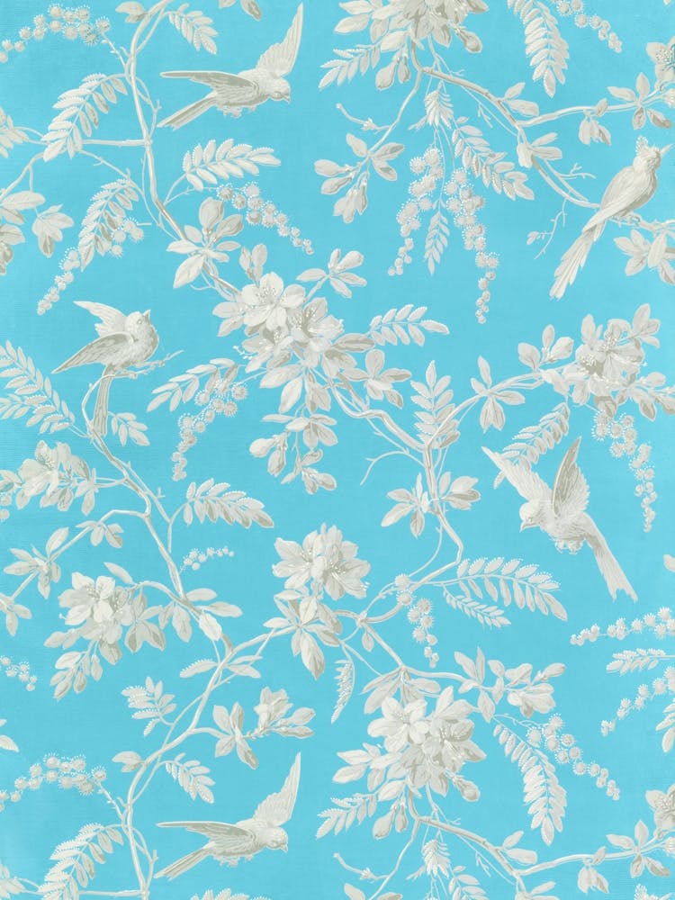 Blue Bird Wallpaper