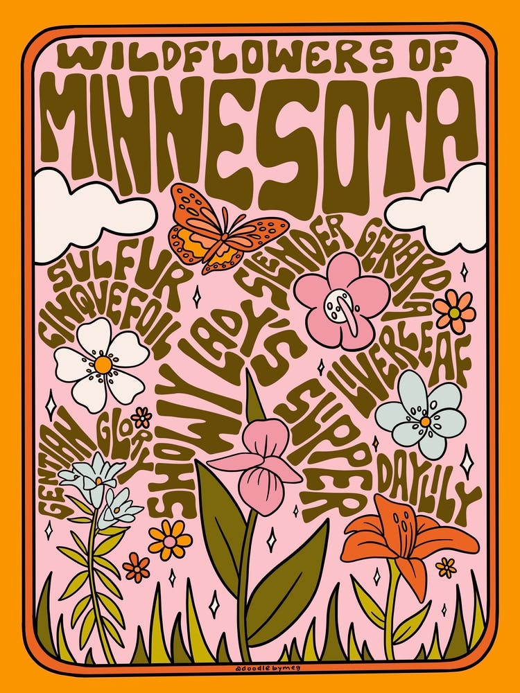 Fleurs Sauvages du Minnesota