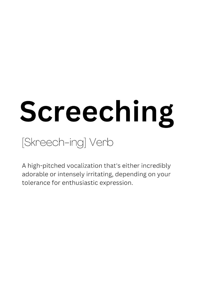 Screeching Definition Meaning