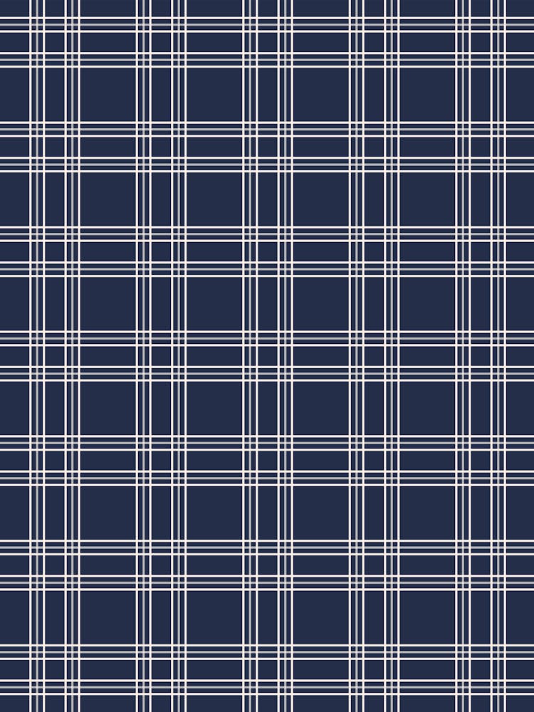 Navy Blue Gingham