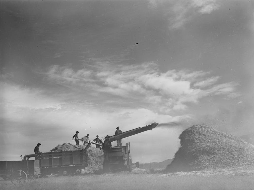 Threshing Wheat Near Questa, New Mexico By Russell Lee