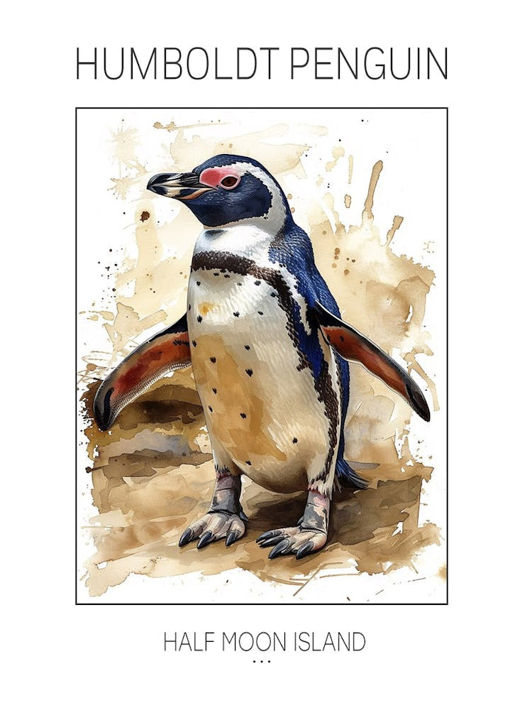 Humboldt Penguin Half Moon Island Watercolour Painting 3 Poster