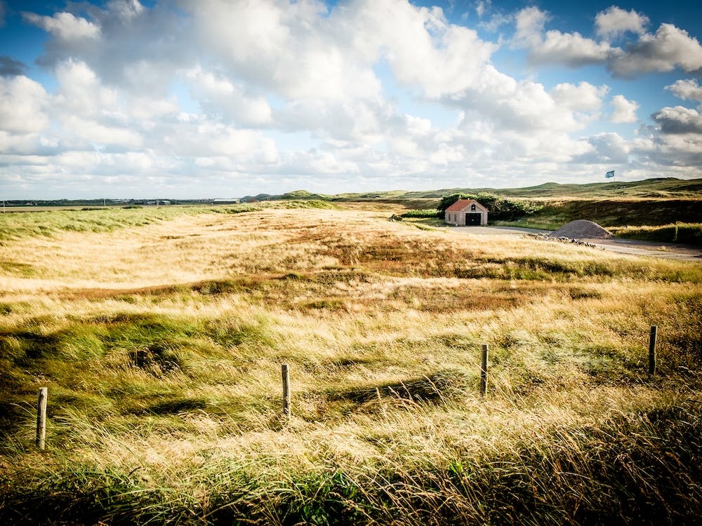 Little Cottage In The Dutch Dunes