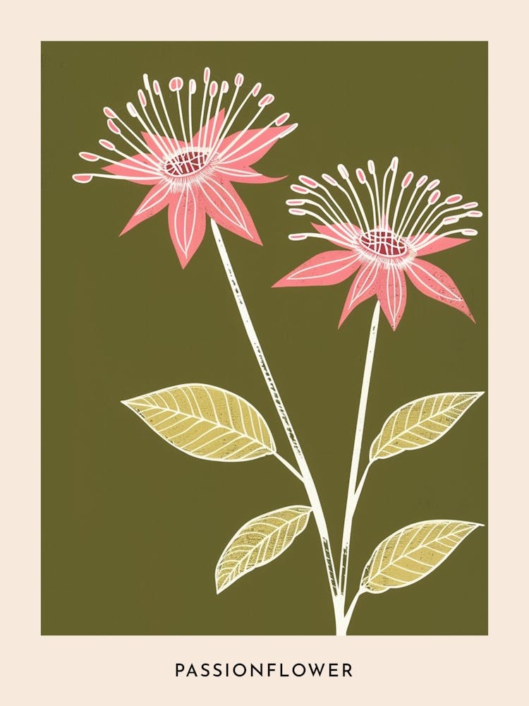 Pink & Green Passionflower 1 Flower Poster