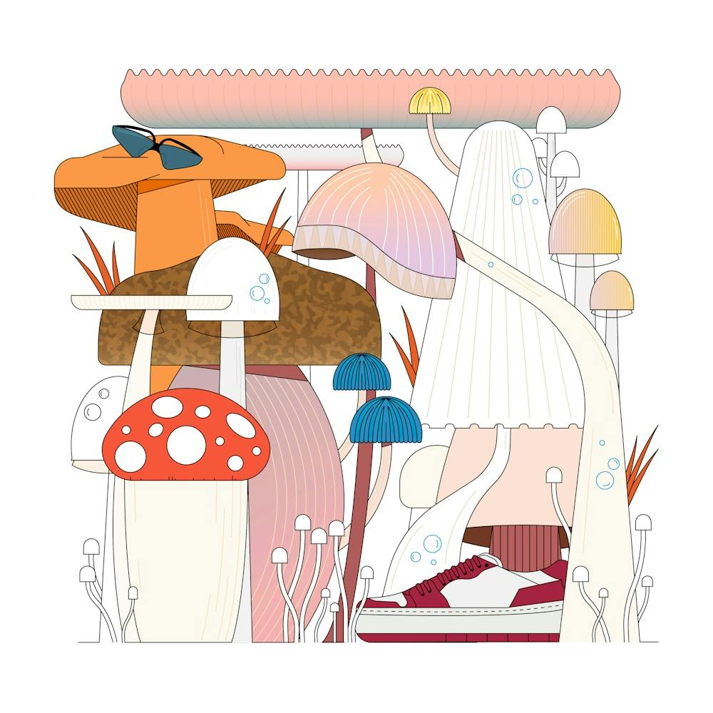 Illustration Of Mushrooms