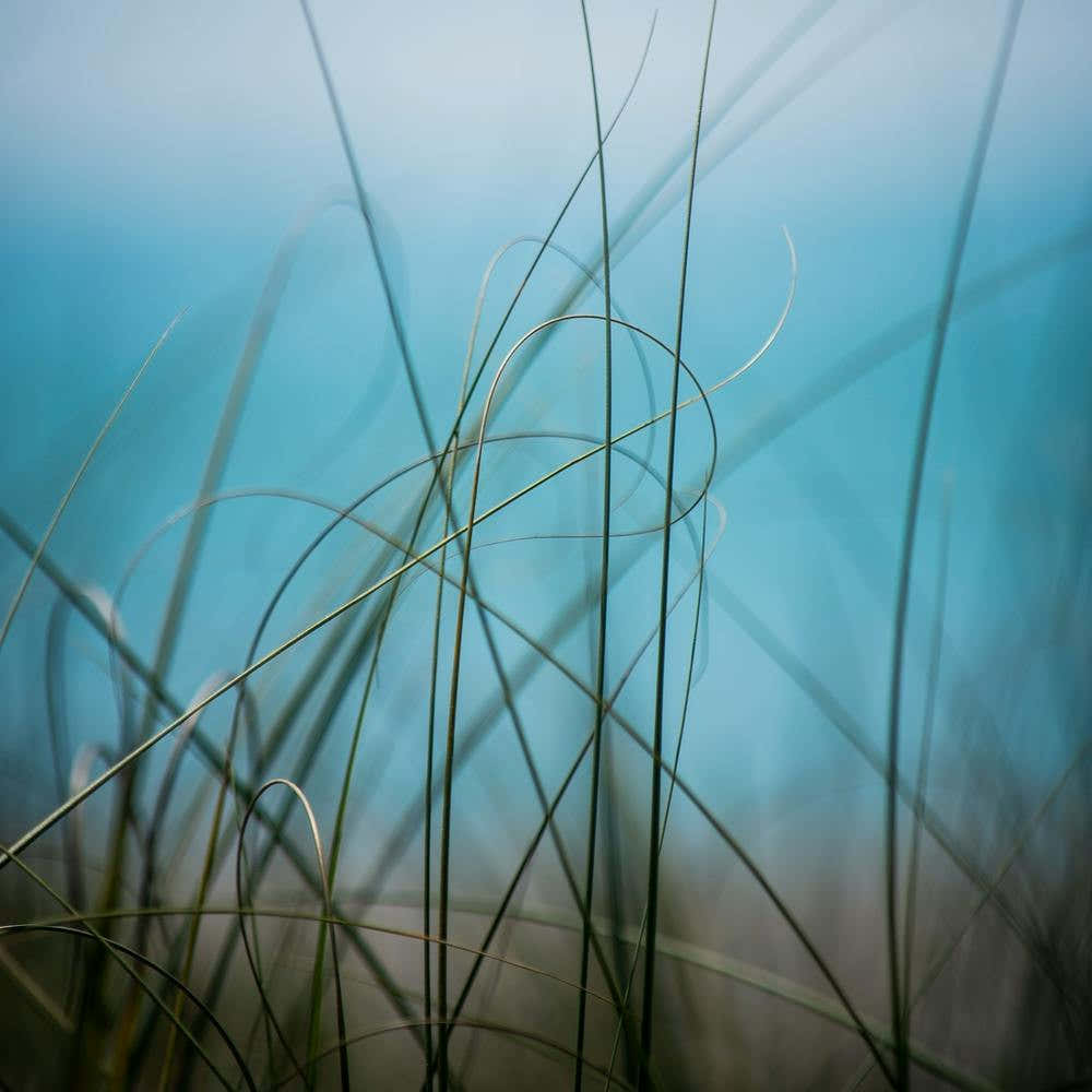 Warm Wind Cool Water 2