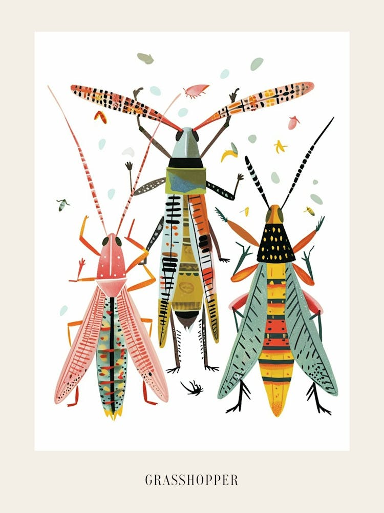 Colourful Insect Illustration Grasshopper 4 Poster