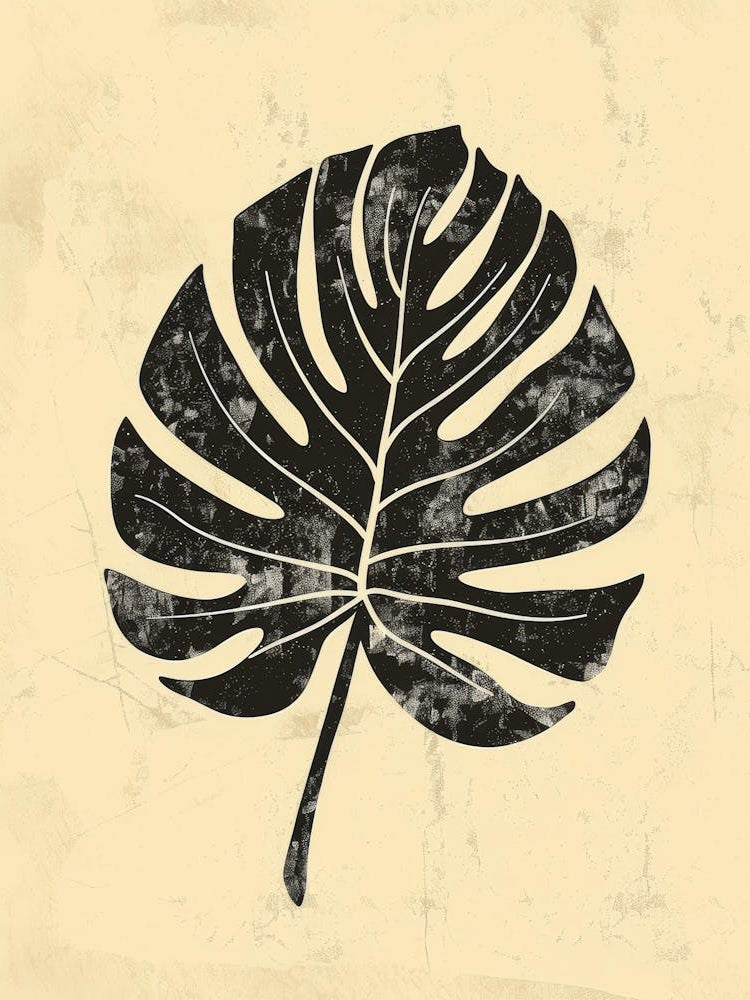 Monstera Leaf 14