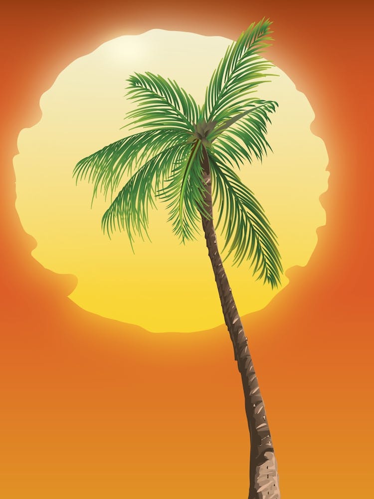 Palmier au Coucher du Soleil 1