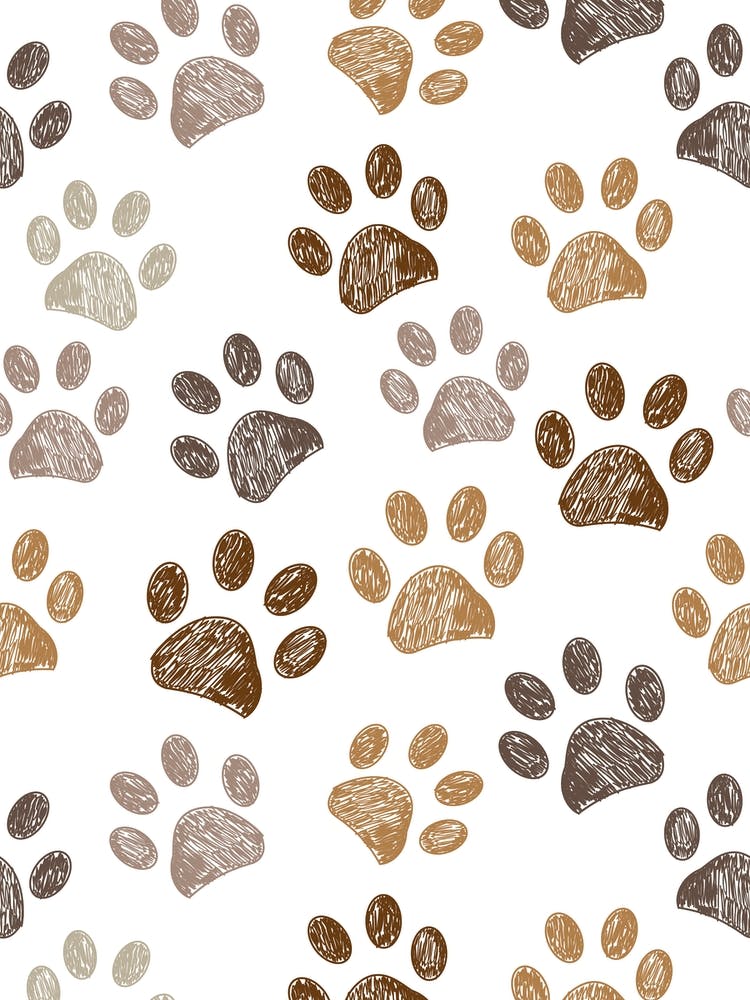 Brown Paw Prints