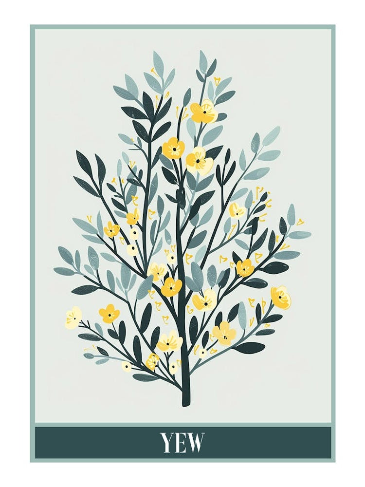Yew Tree Flat Illustration 1 Poster