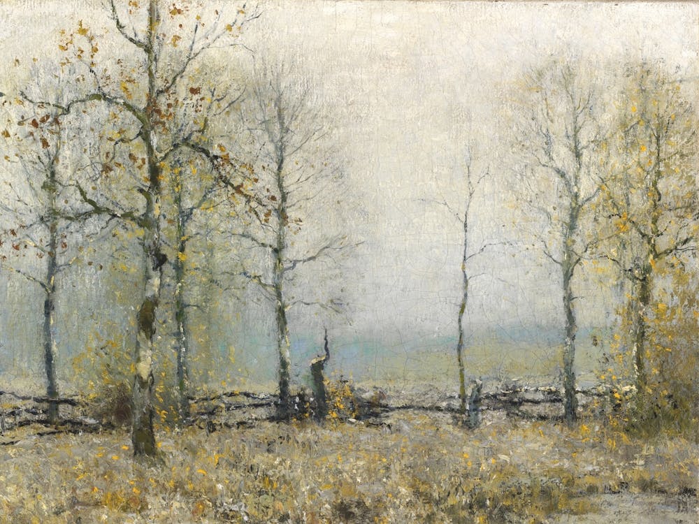 Foggy Morning