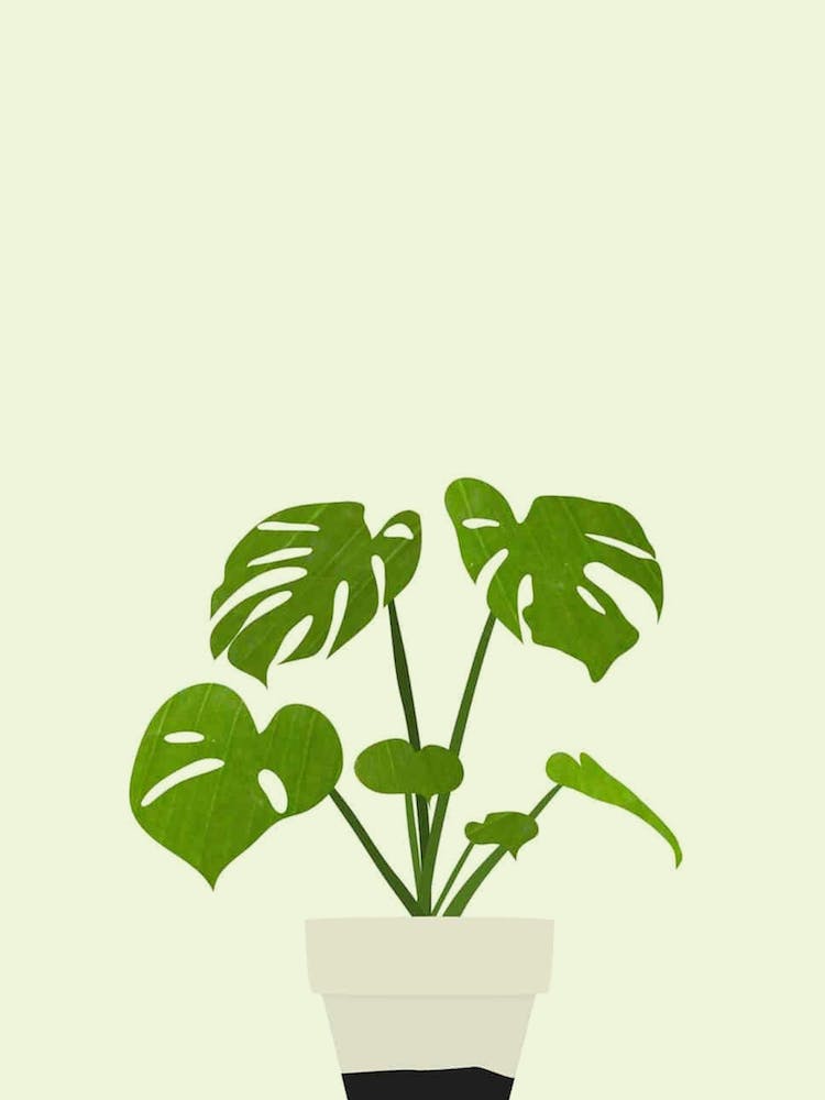 Potted, Plant, Boho, Botanical, Art, Nature, Home Decor, Living Room, Kitchen, Bedroom, Wall Print