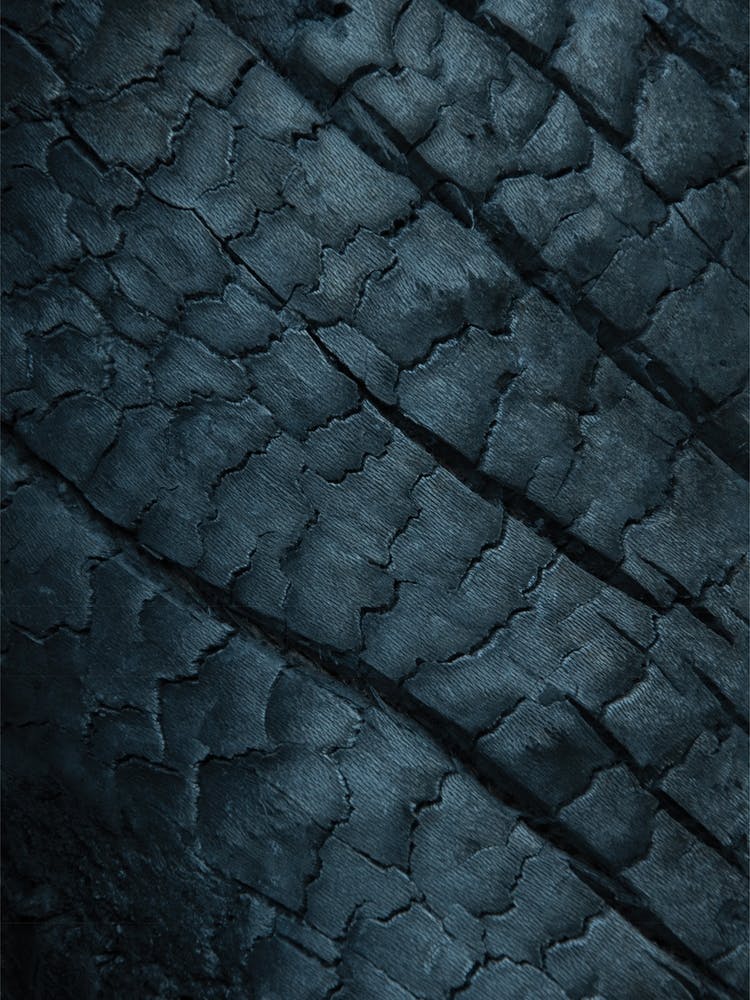 Velvet Black After The Fire