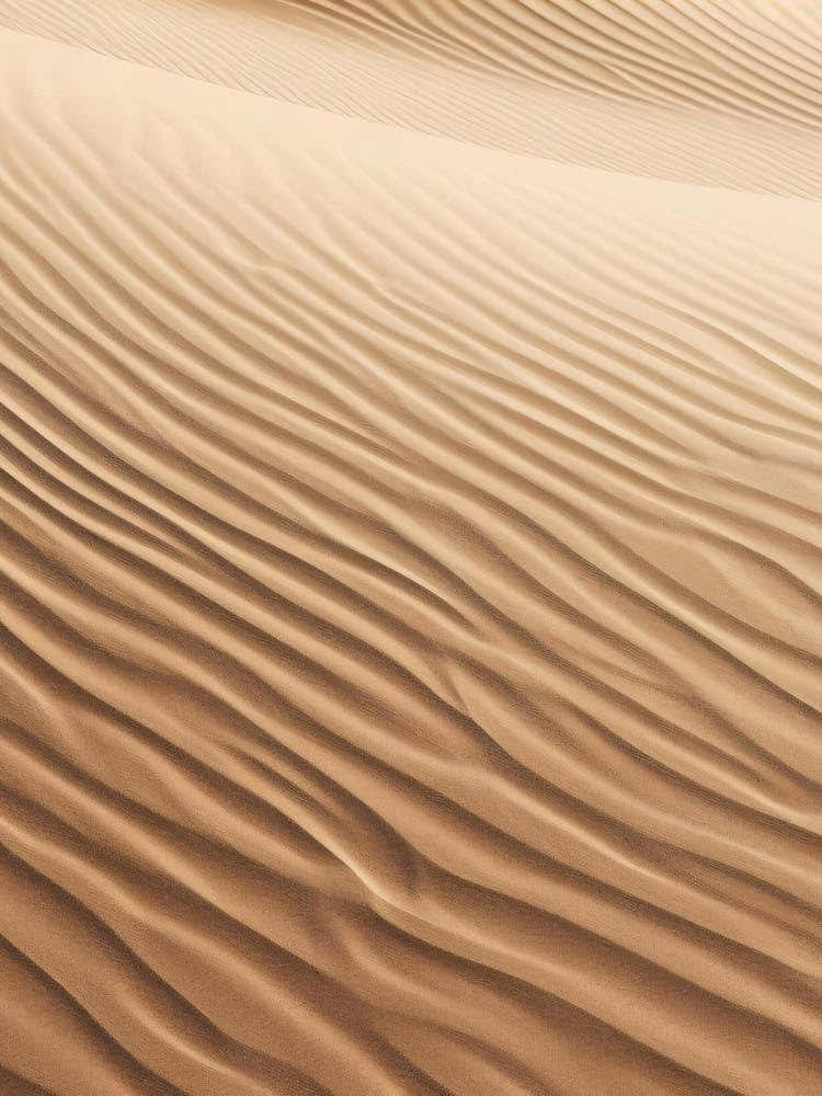 Sand Dunes In The Desert 2