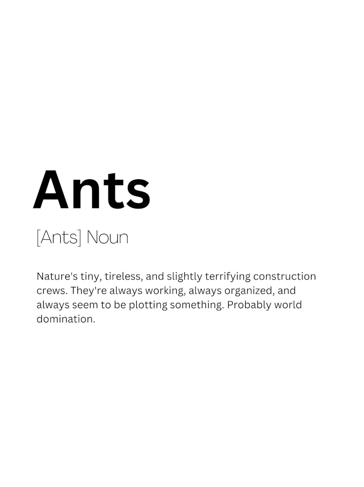 Ants Definition Meaning