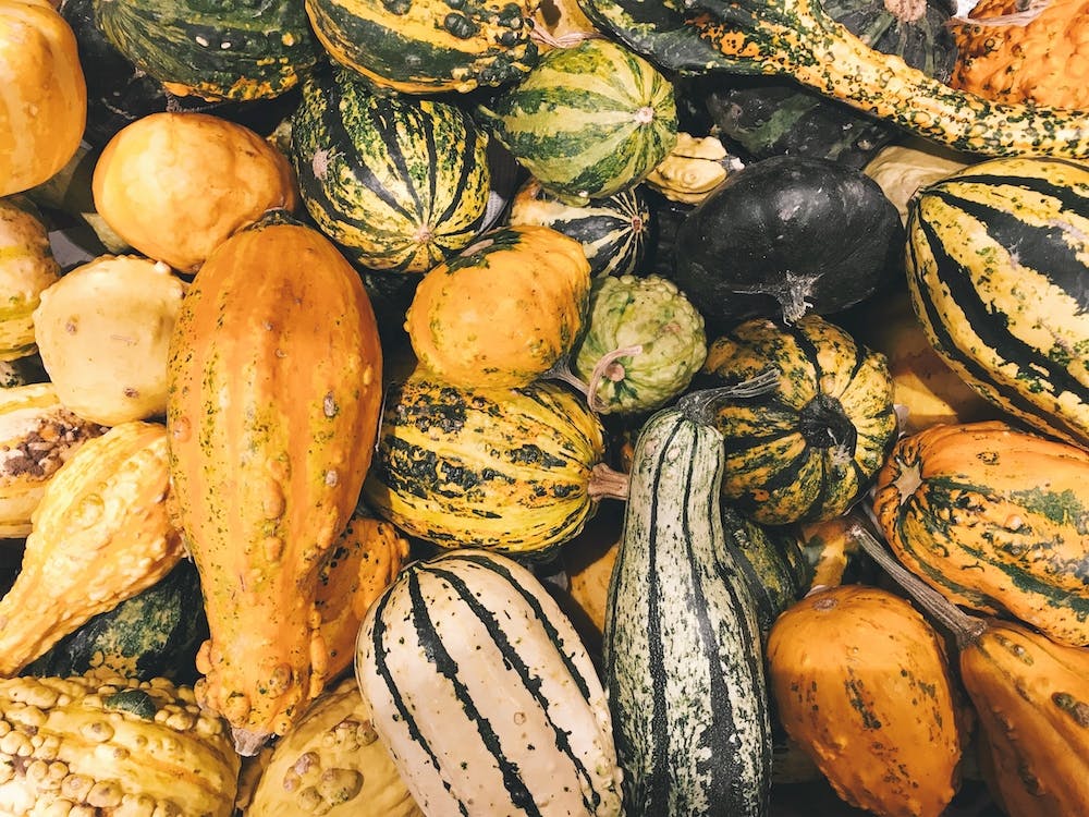 Autumn Squash