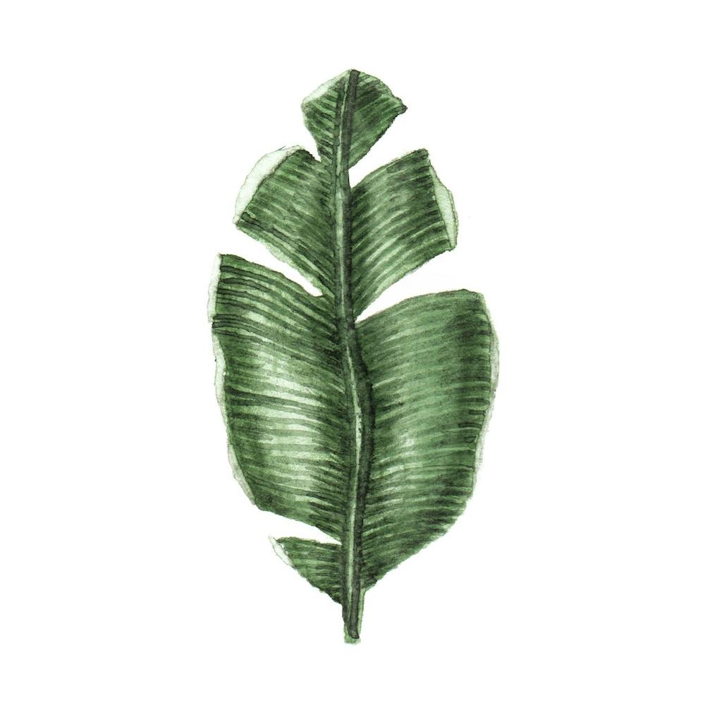 Tropical Leaf Square