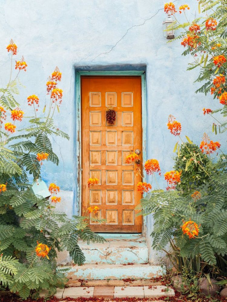 Door To The Garden